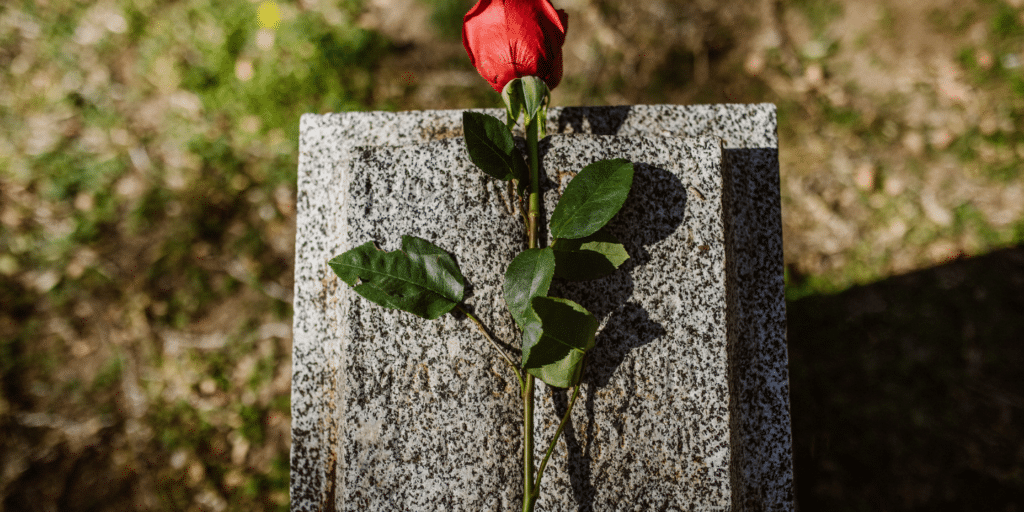 Flower on a tomb stone