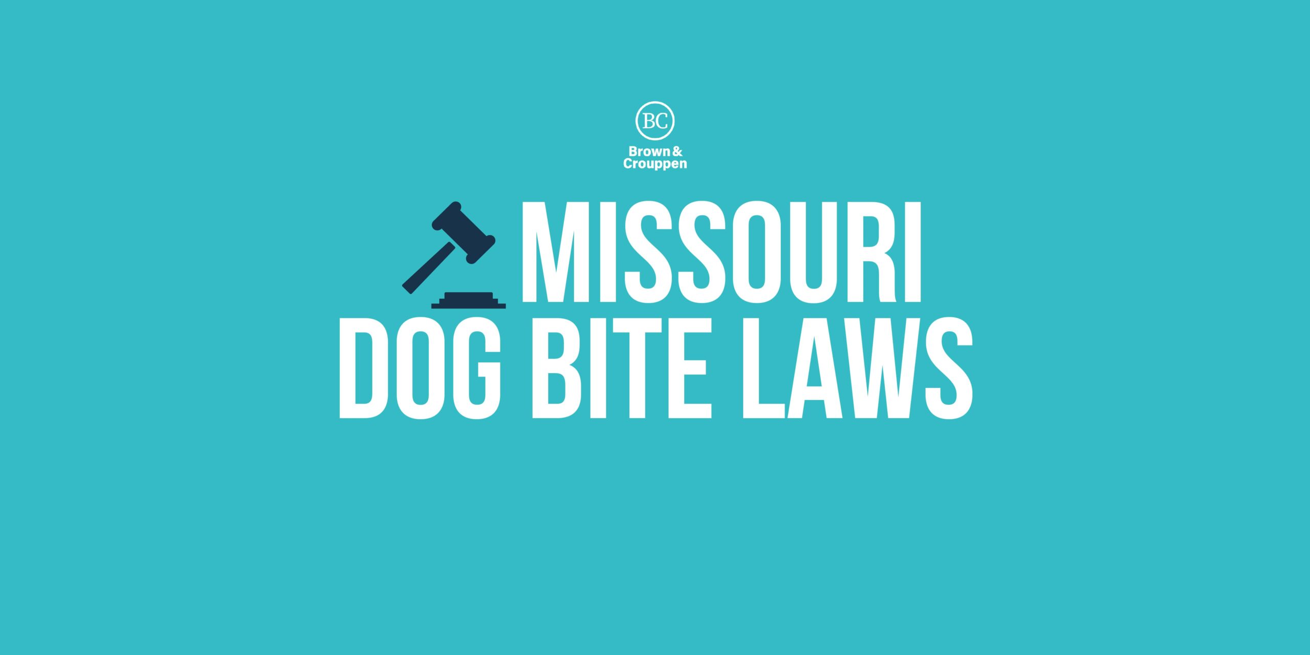 Missouri Dog Bite Laws