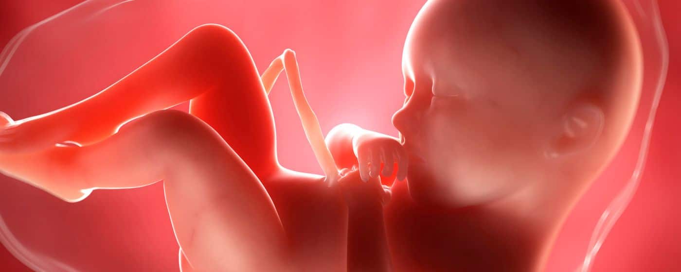 graphic of fetus and umbilical cord - what is marginal cord insertion