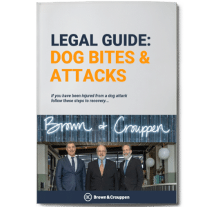 Dog bite legal guide