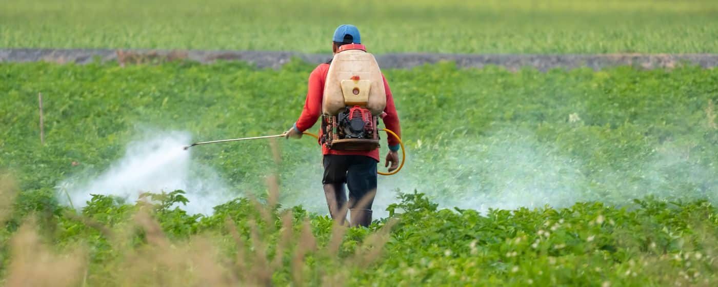 a man walking through a field of green crops and spraying pesticide